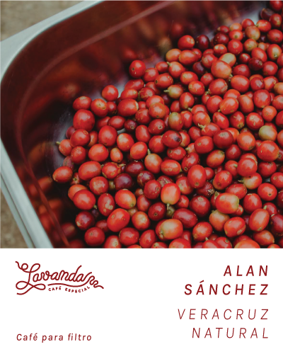 VERACRUZ - ALAN SÁNCHEZ