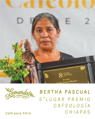 CHIAPAS - BERTHA PASCUAL