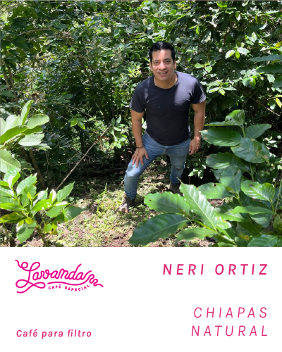 CHIAPAS - NERI ORTÍZ